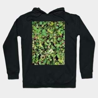 Blackberries Hoodie